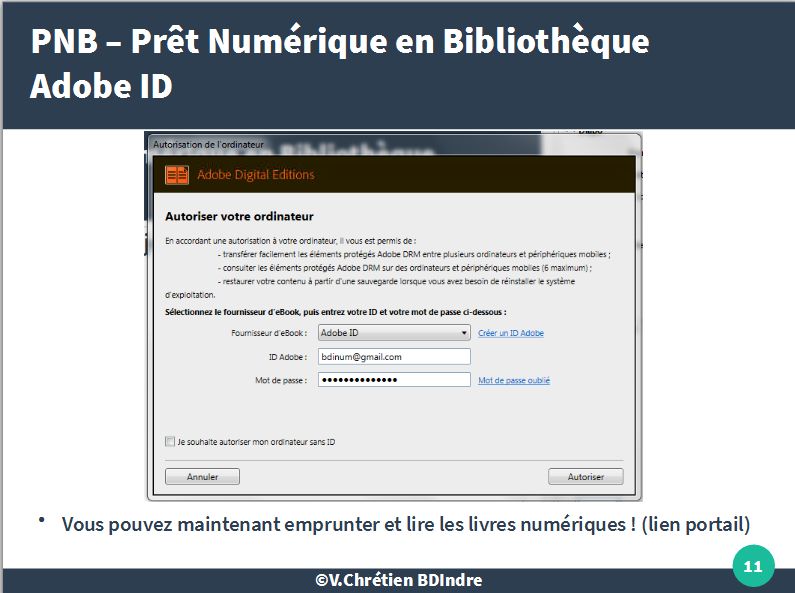 PNB11